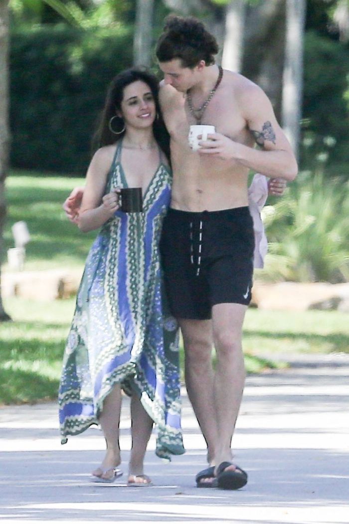 Camila Cabello i Shawn Mendes na spacerze podczas kwarantanny