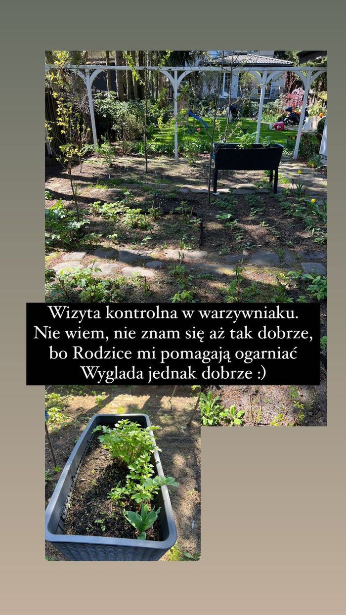 Edyta Pazura - ogród