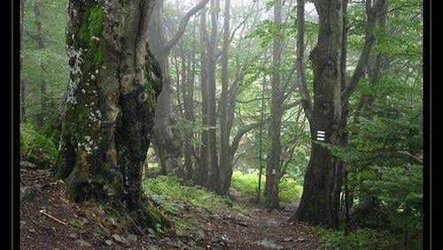 Popradzki Park Krajobrazowy