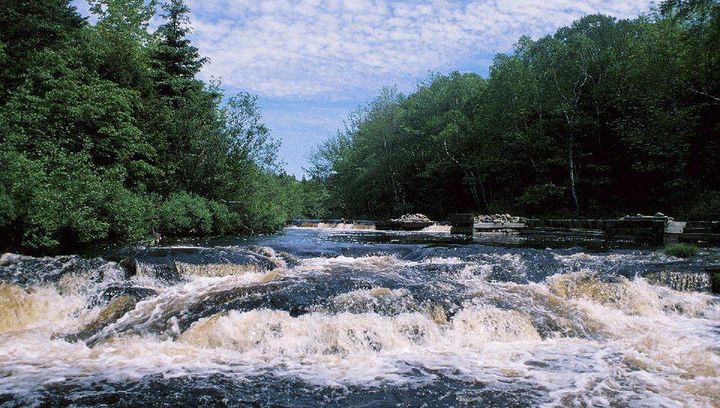 Biogradska Góra i Tara
