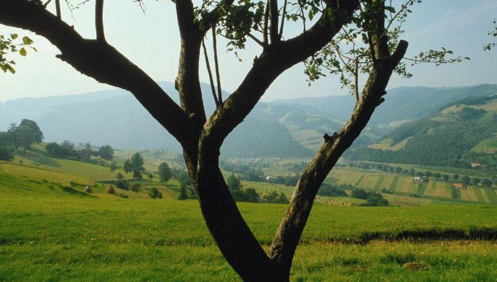 Nad Prutem i Czeremoszem