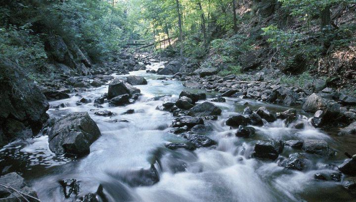 Grajcarek - rzeka u podnóża Małych Pienin