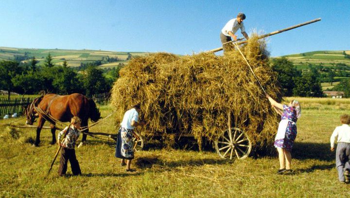 Lubelskie Święto Chleba i Dożynki Dworskie