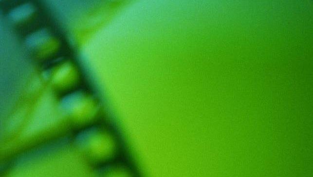 56. Międzynarodowy Festiwal Filmowy w San Sebastian