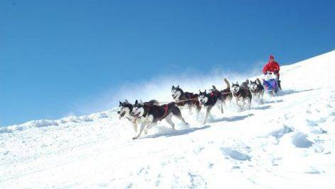 Inwestycje w Orava Snow w Orawskiej Leśnej