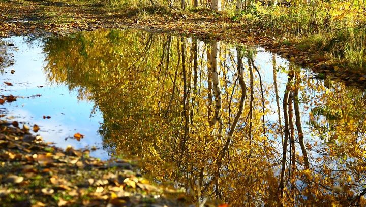 Pogoda na pierwszą połowę listopada 2019