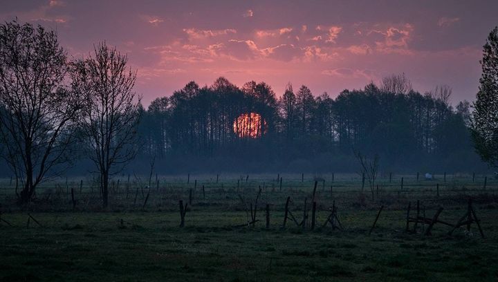 Pogoda na drugą połowę listopada 2019