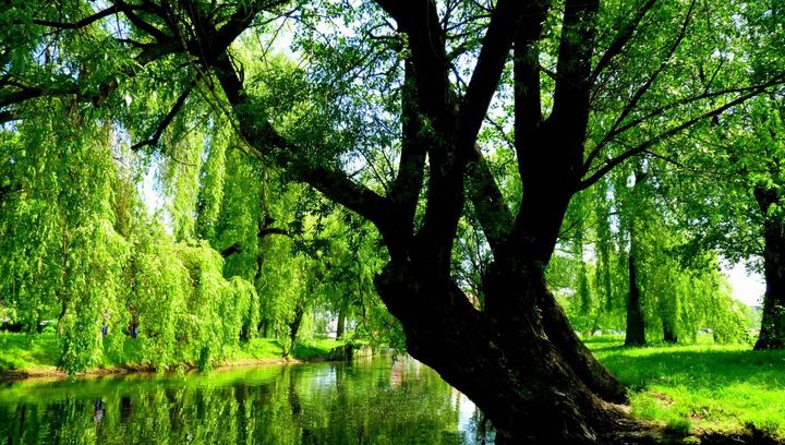 Mazury mniej znane: Wielbark