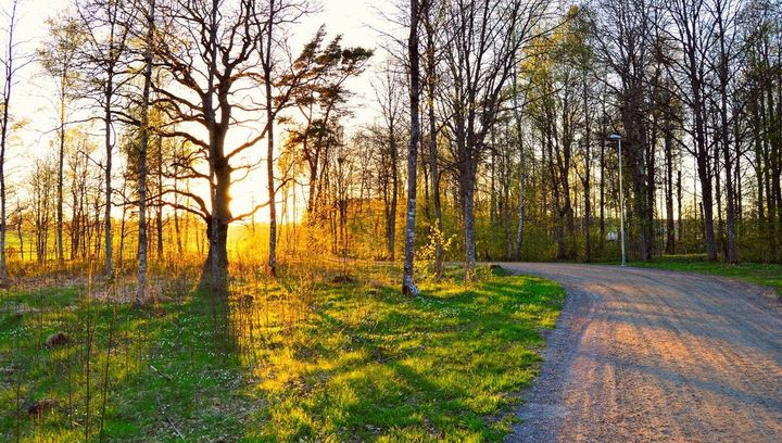 Pogoda na 1 tydzień kwietnia 2019