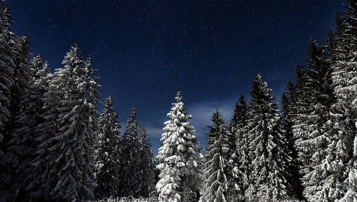 Pogoda na pierwszą połowę lutego 2019