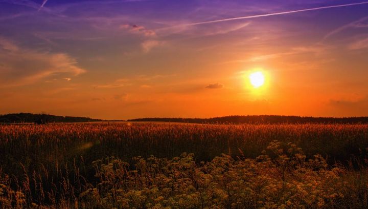 Pogoda na pierwszą połowę lipca 2019