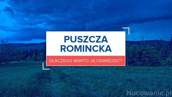 Puszcza Romincka - dlaczego warto ją odwiedzić?