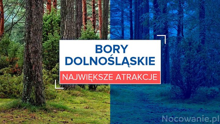 Największe atrakcje w Borach Dolnośląskich 