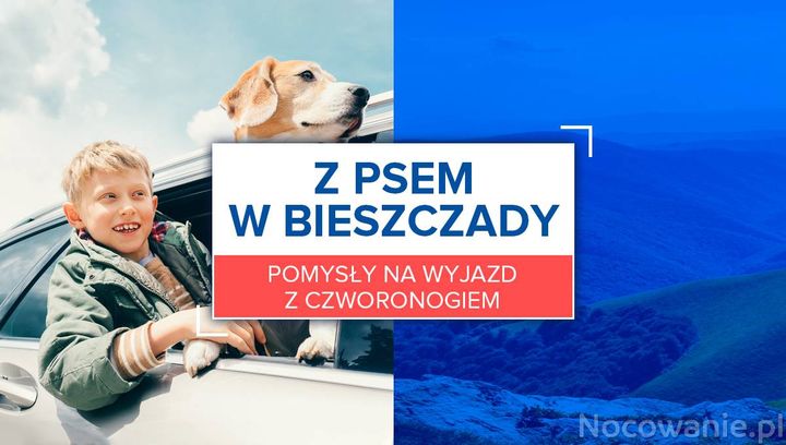 Z psem w Bieszczady. Pomysły na wyjazd z czworonogiem