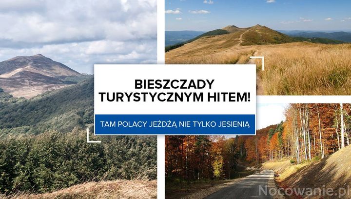 Bieszczady turystycznym hitem! Tam Polacy jeżdżą nie tylko jesienią