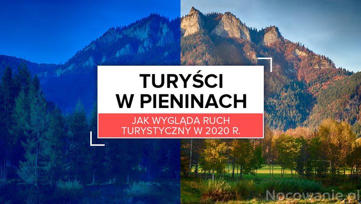 Tanio i pięknie. Turyści w Pieninach w 2020 r.