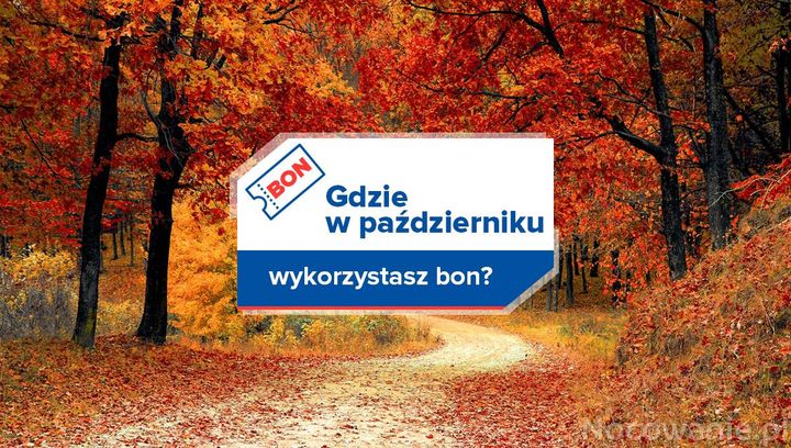 Gdzie w październiku wykorzystasz bon?