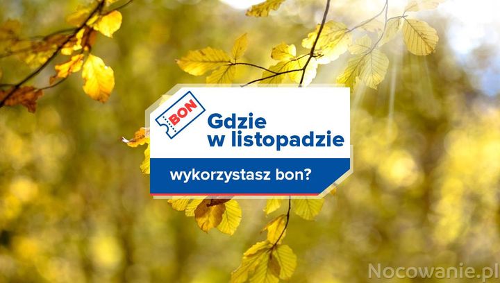 Gdzie w listopadzie wykorzystasz bon?