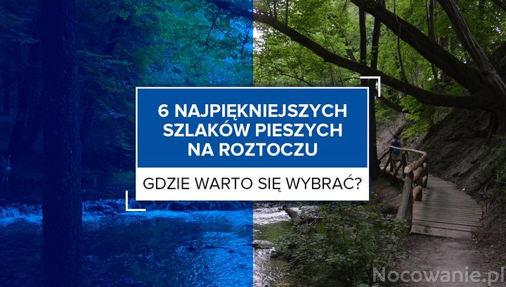 6 najpiękniejszych szlaków pieszych na Roztoczu. Gdzie warto się wybrać?