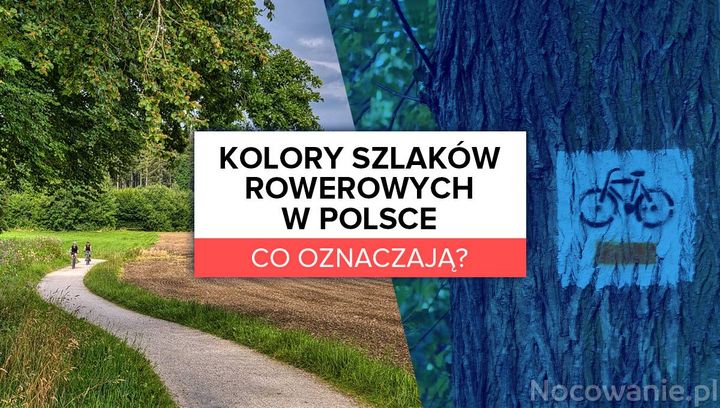 Kolory szlaków rowerowych w Polsce - co oznaczają?