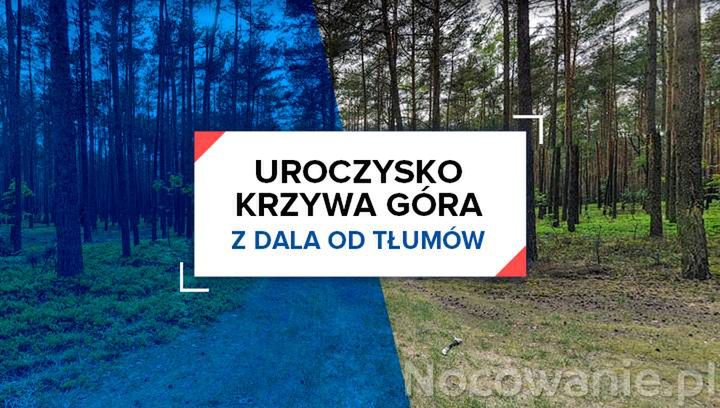 Z dala od tłumów: Uroczysko Krzywa Góra