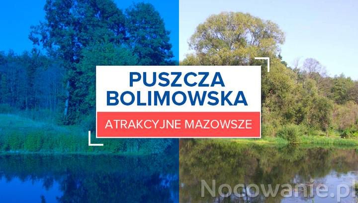 Atrakcyjne Mazowsze: Puszcza Bolimowska