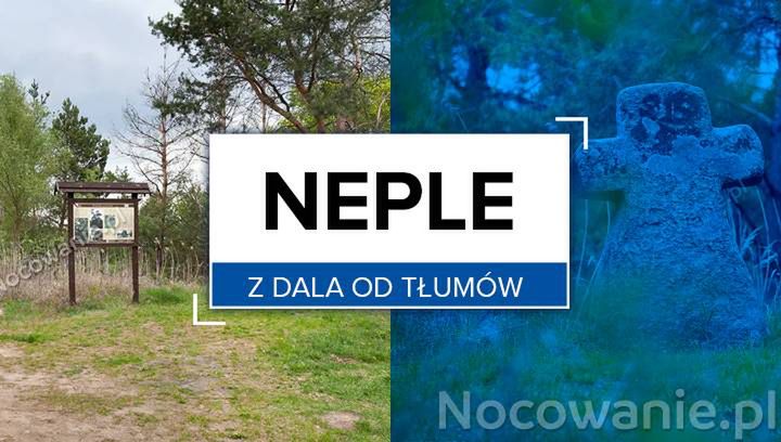  Z dala od tłumu: Neple