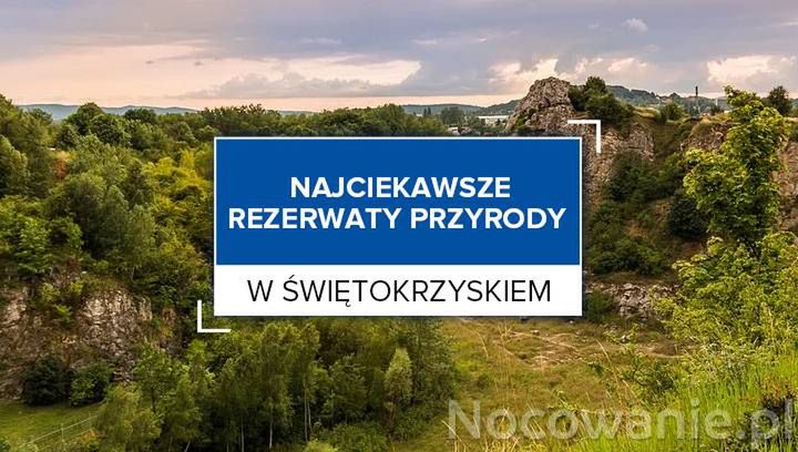 Najciekawsze rezerwaty przyrody w Świętokrzyskiem