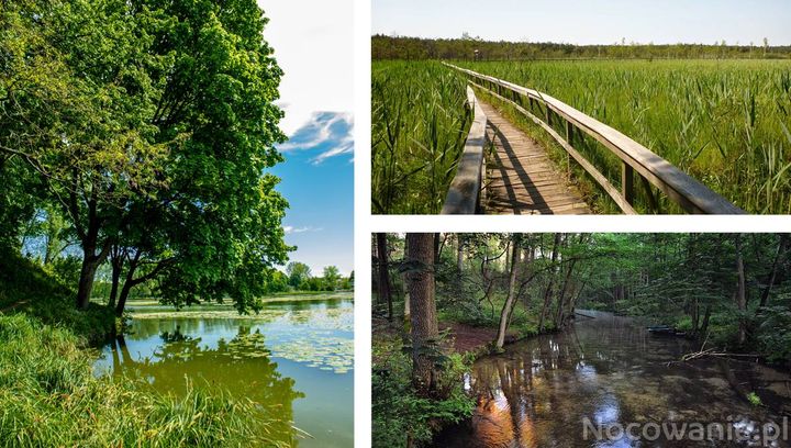 Poleski Park Narodowy - świetny wybór na weekendową wycieczkę