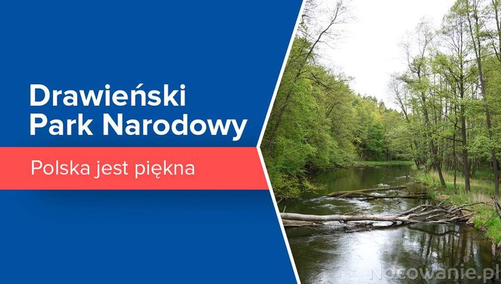 Polska jest piękna: Drawieński Park Narodowy