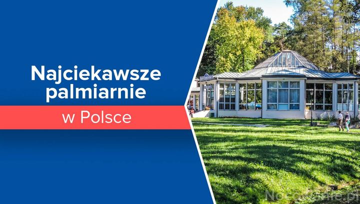 Najciekawsze palmiarnie w Polsce