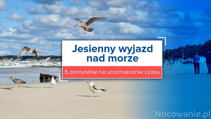 Jesienny wyjazd nad morze. 5 pomysłów na urozmaicenie czasu