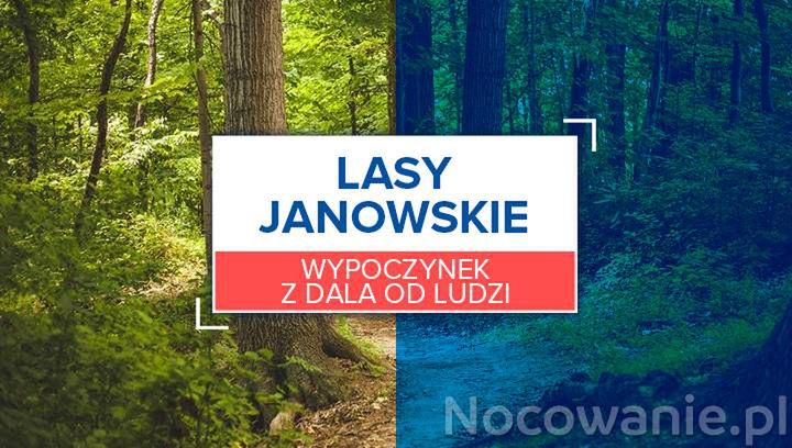 Wypoczynek z dala od ludzi: Lasy Janowskie