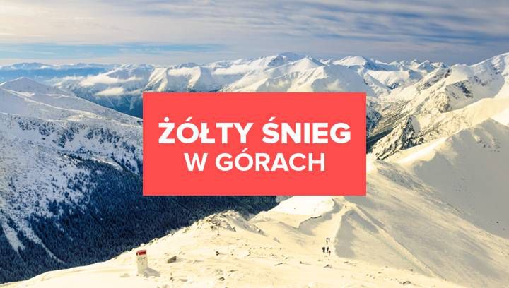 Żółty śnieg w Polsce. Skąd się wziął?