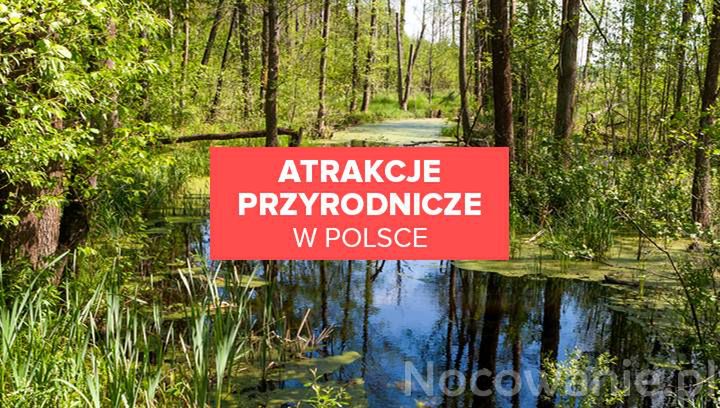 5 atrakcji przyrodniczych, które warto odwiedzić wiosną