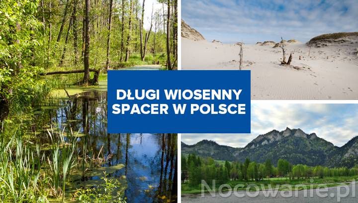 Najlepsze miejsca w Polsce na długi wiosenny spacer