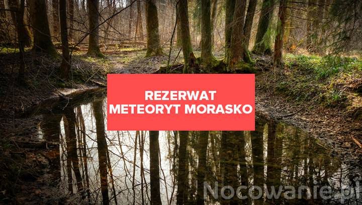 Spacer po niezwykłych miejscach - Rezerwat Meteoryt Morasko