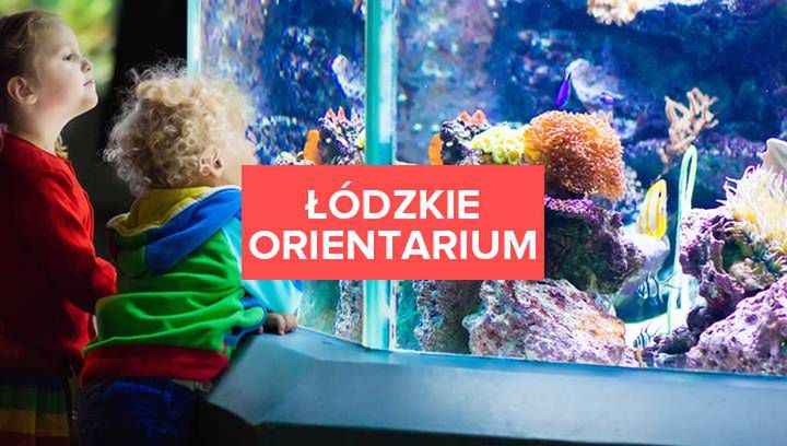 W Łodzi powstaje orientarium. Czym zaskoczy nas ta nowa atrakcja turystyczna?