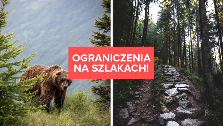 Ograniczenia na tatrzańskich szlakach. Czym są spowodowane?