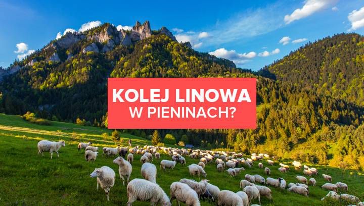 Kolej linowa w Pieninach? Są takie plany!