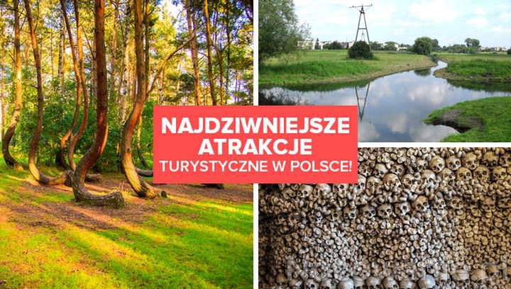 Najdziwniejsze atrakcje turystyczne w Polsce! Nie uwierzysz, że istnieją!