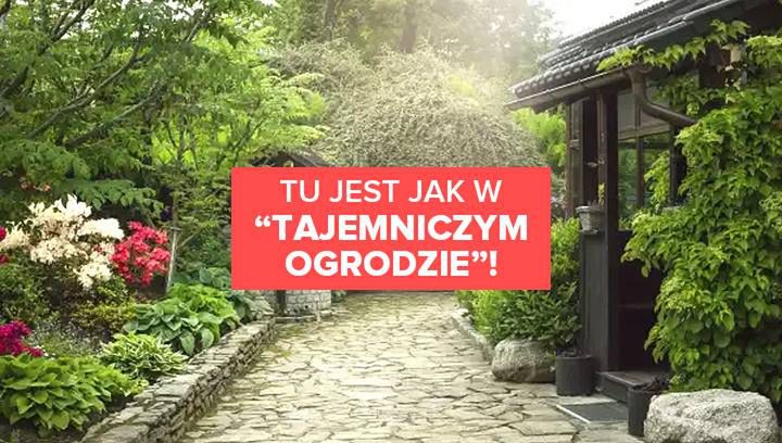 Tu jest jak w “Tajemniczym Ogrodzie”! Domek już za 80 zł od osoby