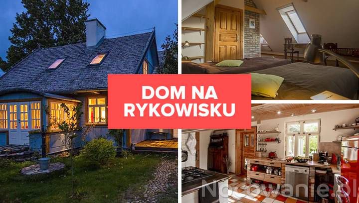 Dom Na Rykowisku - poznaj jedyne takie miejsce w Puszczy Białowieskiej