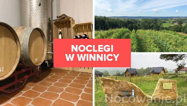 Noclegi w winnicy - poznaj wyjątkową propozycję z Gór Świętokrzyskich