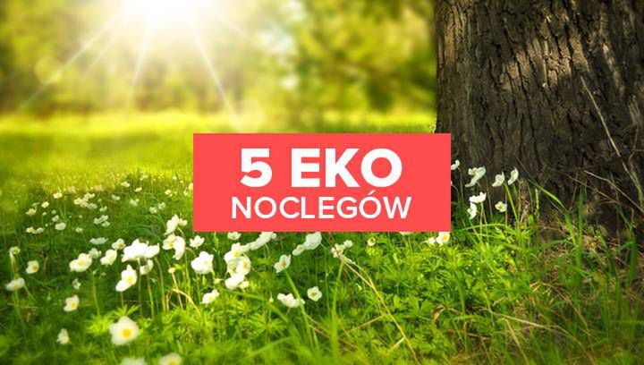 5 eko noclegów. Postaw na świadomy wypoczynek!