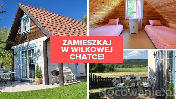 To Twoje miejsce na Ziemi! Zamieszkaj w Wilkowej Chatce!