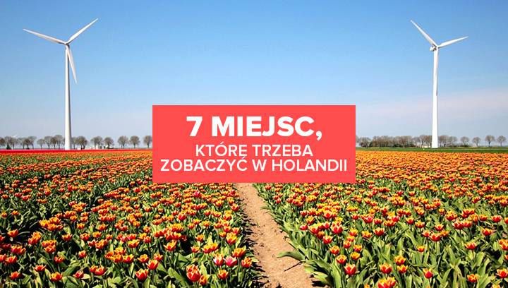 7 miejsc, które trzeba zobaczyć w Holandii