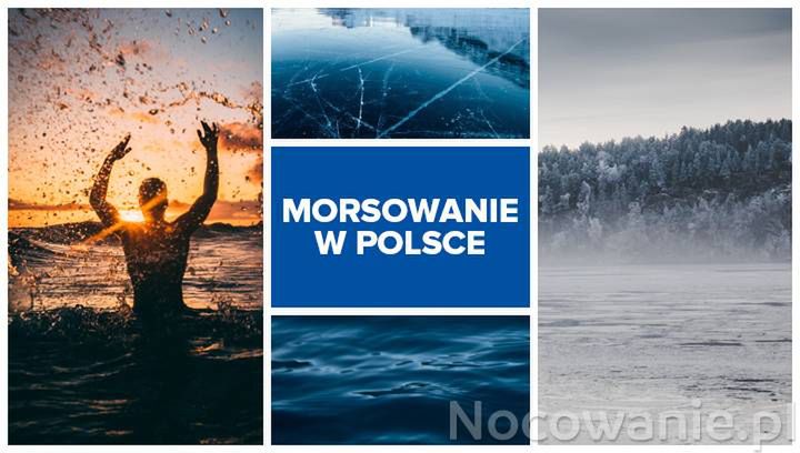 Najlepsze miejsca na morsowanie w Polsce. Gdzie się wybrać?