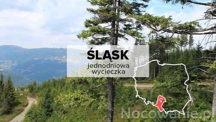 5 pomysłów na jednodniowe wycieczki na Śląsku. Gdzie się wybrać?