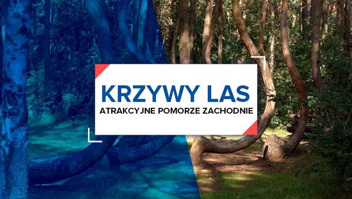  Atrakcyjne Pomorze Zachodnie: Krzywy Las